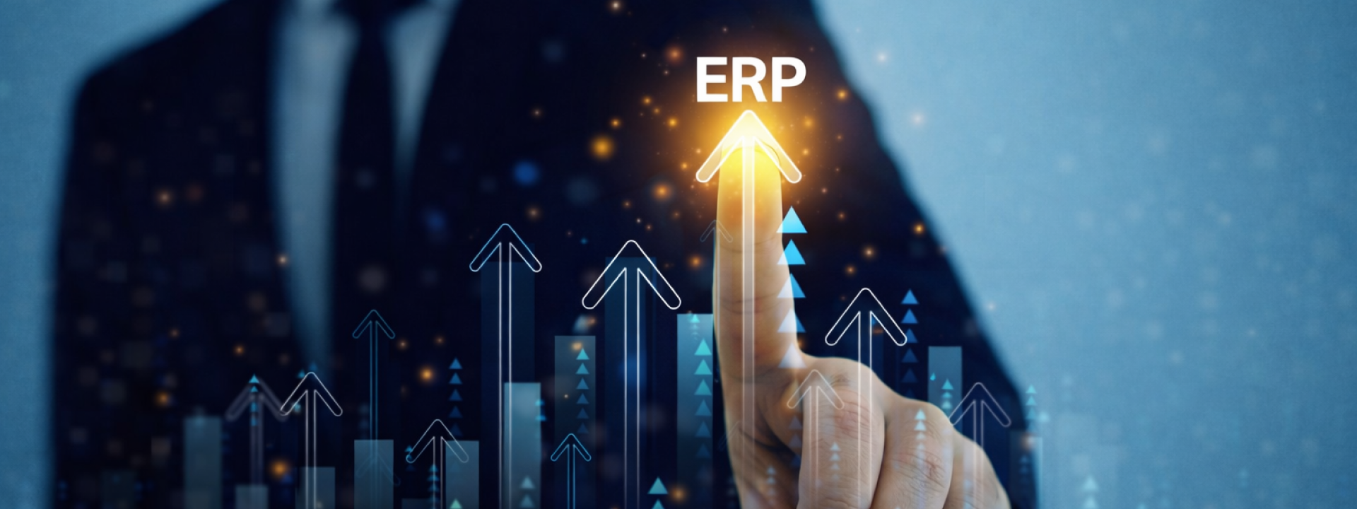 ERP Implementation